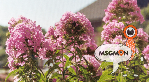 로드샵이란 무엇일까?