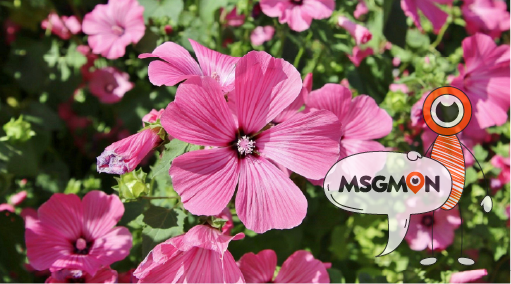 추가금이 필요한 이유는?