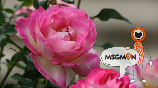 맞춤 테라피란 무엇일까요?