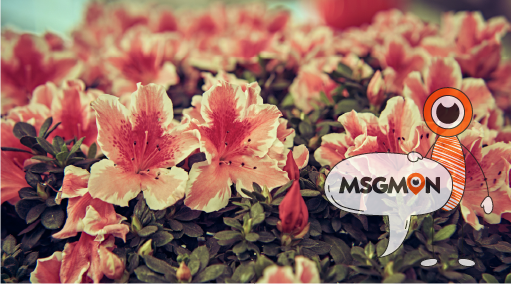 단속의 대상이 되는 경우