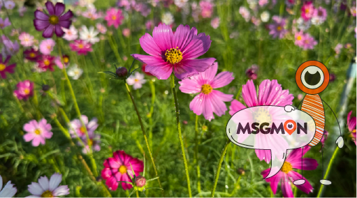 오피 마사지샵의 특징