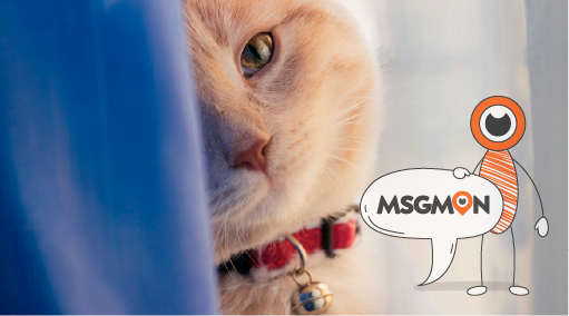 타이마사지 커튼이란?