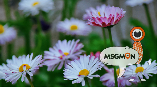 가격대 확인하기