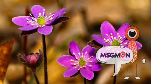 누구에게 추천하나요?