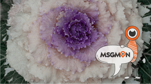 여유롭게 준비하기