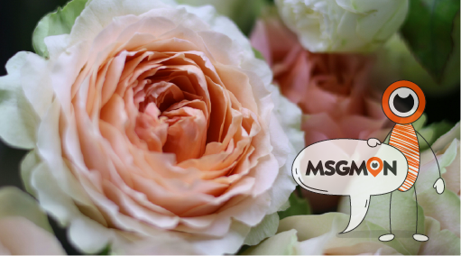 가격으로 보는 진실