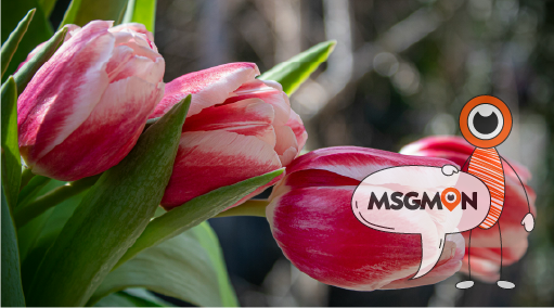 운영 방식과 마사지 종류