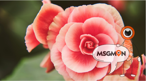 황금시간대, 당신에게 달려 있어요!