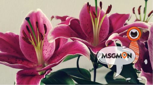 초보자들을 위한 한마디