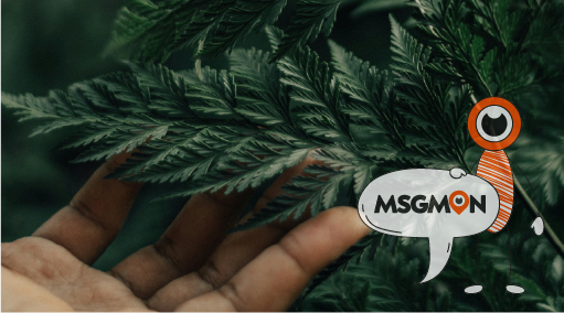 비접촉 & 감각 테라피