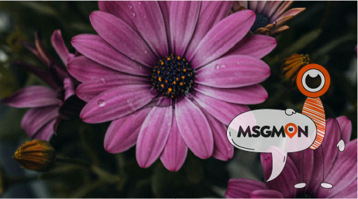 드라이마사지, 나에게 맞을까?