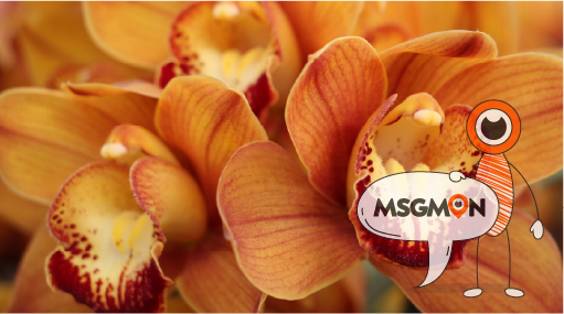 왜 예약이 더 나을까요?