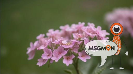 개인정보 보호는 안전할까?