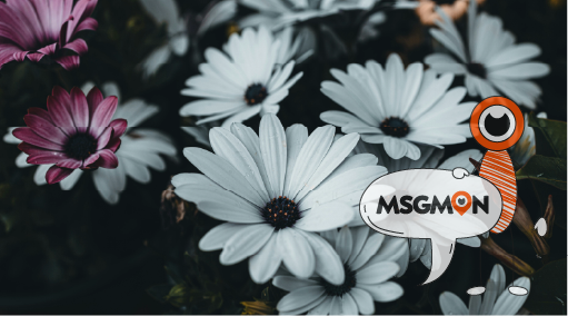 감성힐링 코스, 뭔가요?