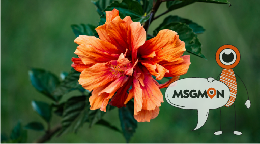 어떤 마사지가 힐링에 좋을까?