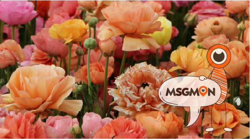 문자 예약, 나한테 맞을까?