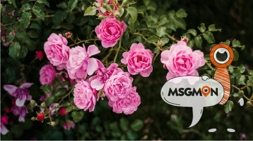 세신마사지의 매력 포인트