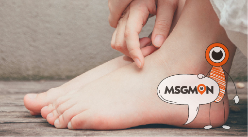 풋 로미 vs 딥티슈