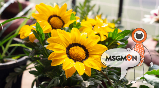 주기적으로 관리하면 좋은 이유