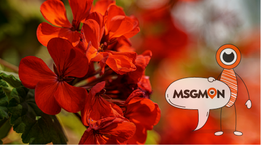 마사지 힐링타임 뜻이란?