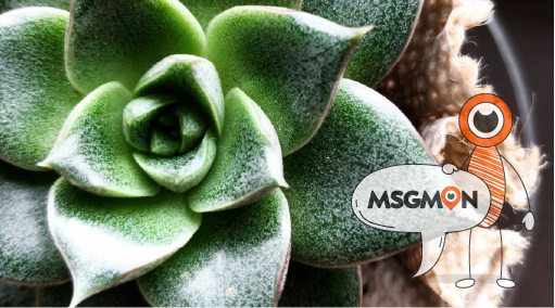 손님이 받기 좋은 황금시간