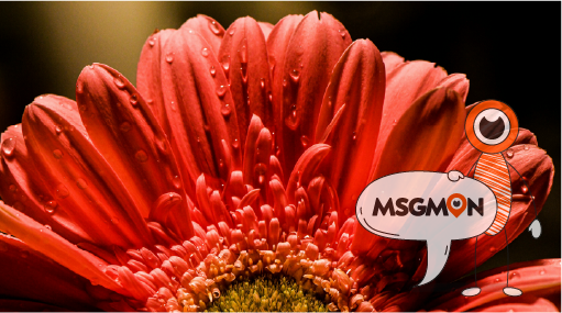 어디에서 받을 수 있을까요?