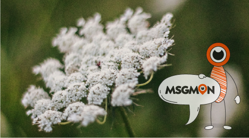 드라이마사지의 장점