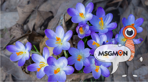 타이마사지 팁, 얼마가 적당할까?