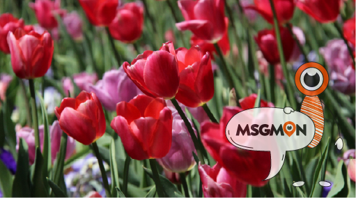 어떻게 하는 거예요?