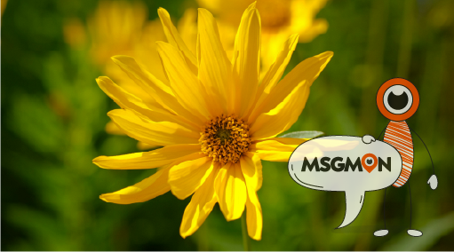 스웨디시 마사지, 뭐가 좋을까?