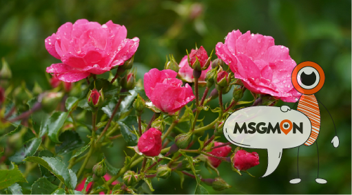 테라피스트와 소통하기