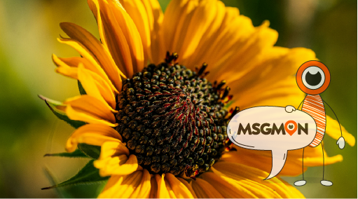 조심해야 할 점, 뭐야?