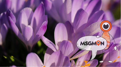 타이마사지, 뭐가 특별할까?