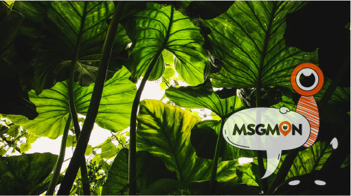 어디서 받을 수 있나요? 실용적인 팁