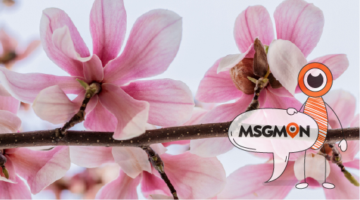 짭까사이, 뭘 어떻게 하는 건데?