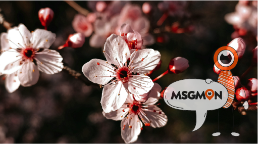 타이마사지 후기, 꿀팁 쏟아져요!