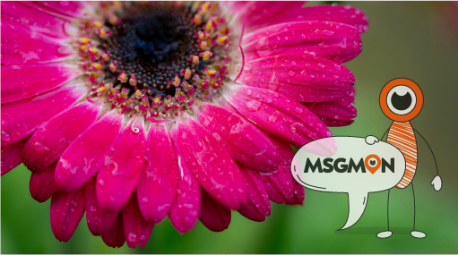 효과 높이는 팁