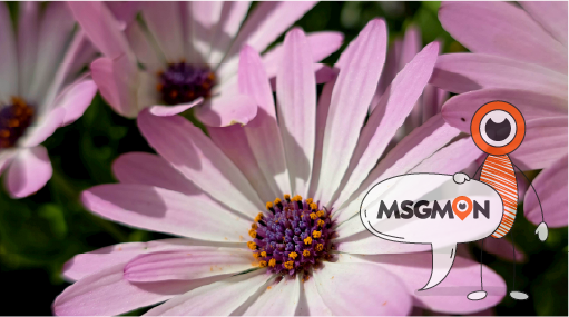 왜 1인샵이 좋을까?