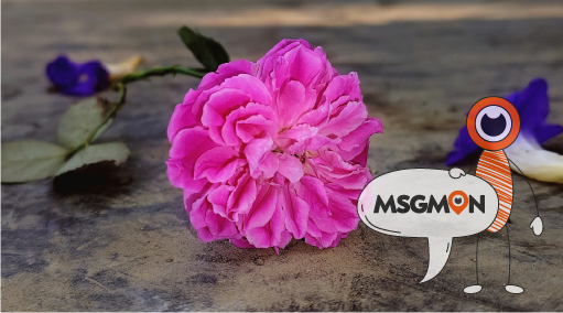 위생과 편안함 챙기기