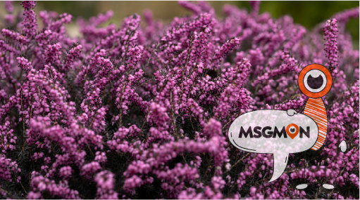 사람들 반응은?