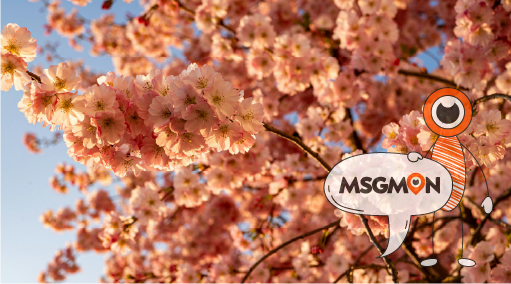 림프마사지의 매력