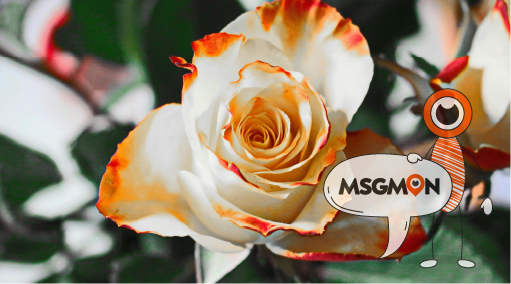 로미로미 받을 때 주의할 점