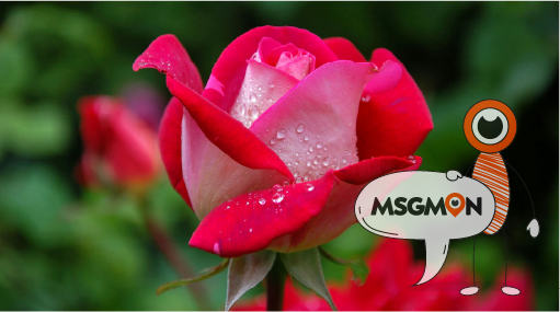 마사지몬으로 힐링