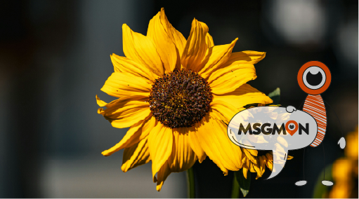 림프 마사지가 뭐예요?