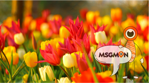 예약 전 알아두면 좋은 꿀팁