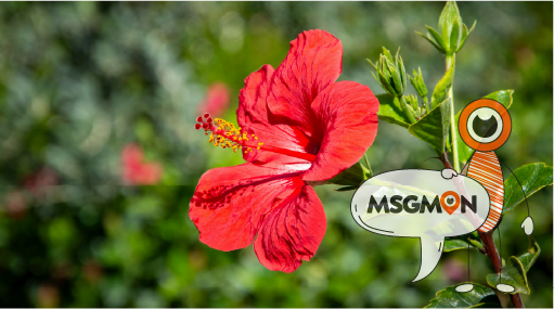 누구에게 추천하고 싶어요?