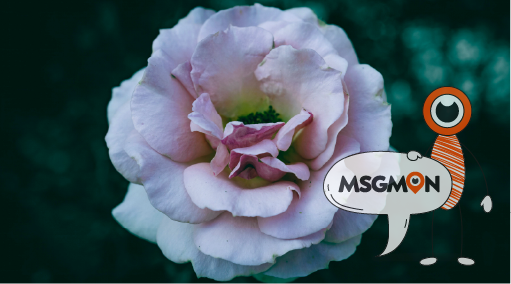 짭까사이 뜻, 한 방에 정리!