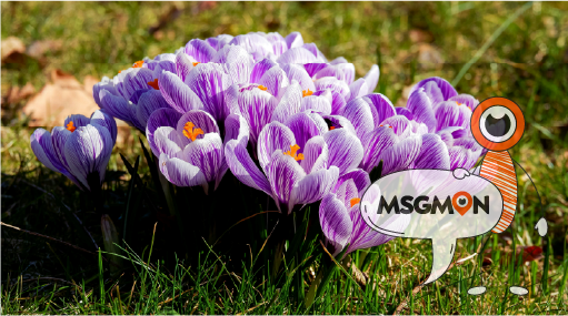 왜 스웨디시 첫 방문 팁이 중요할까?