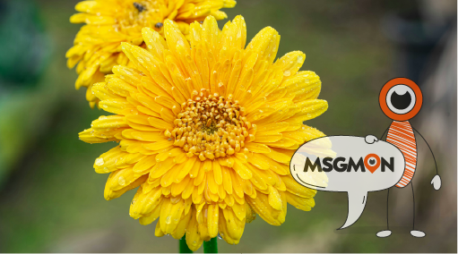 수면 마사지란?