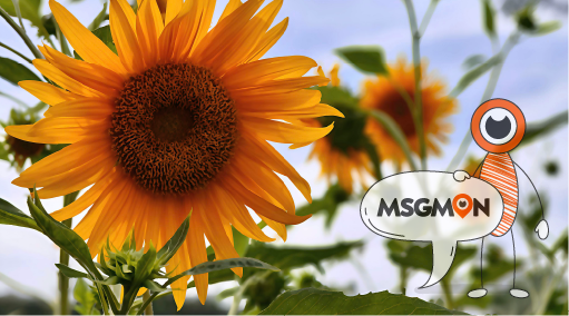 스웨디시 마사지와 내상 제로